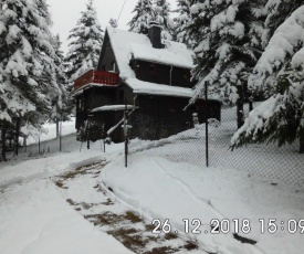 Waldhaus, Ski- und Wanderhütte