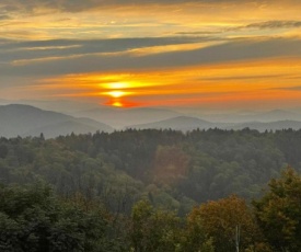 Traumblick Bayerischer Wald inklusive Pool und Getränke