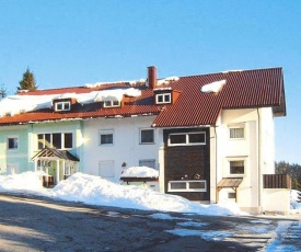 Apartments home Tannenhof Haidmühle - DMG04510-CYB