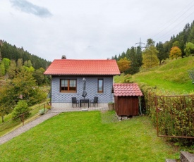 Cozy Cottage in Langenbach Thuringia near Lake