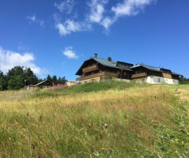 Ferienwohnungen Almberghütte